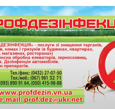 Друк флаєрів